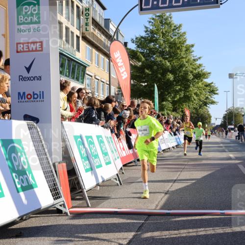15.09.2024 - PSD Bank Halbmarathon Strokosch-Dieckow http://msf.ph/oto/7062873 15.09.2024 10:25:21 Ziel 102, 119, 131, 165, 177 meine-sportfotos.de