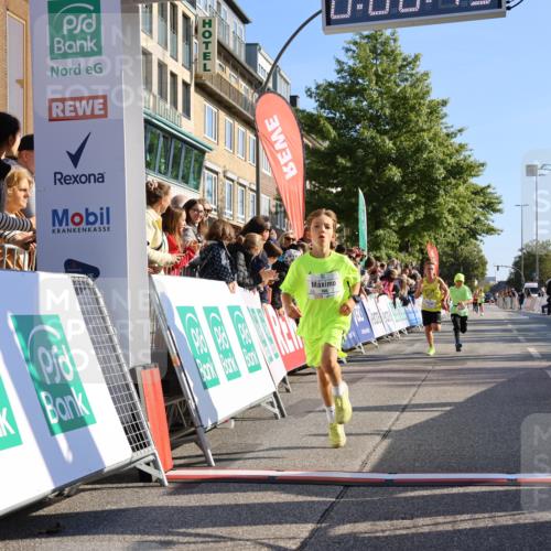15.09.2024 - PSD Bank Halbmarathon Strokosch-Dieckow http://msf.ph/oto/7062897 15.09.2024 10:25:21 Ziel 102, 119, 131, 165, 177 meine-sportfotos.de