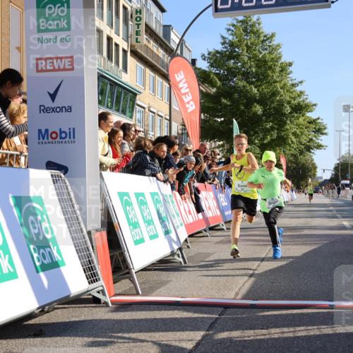 15.09.2024 - PSD Bank Halbmarathon Strokosch-Dieckow http://msf.ph/oto/7062982 15.09.2024 10:25:23 Ziel 7, 102, 119, 165, 177 meine-sportfotos.de