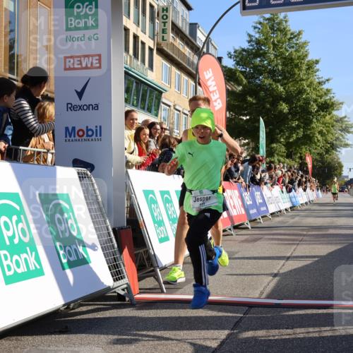 15.09.2024 - PSD Bank Halbmarathon Strokosch-Dieckow http://msf.ph/oto/7063081 15.09.2024 10:25:23 Ziel 7, 102, 119, 165, 177 meine-sportfotos.de