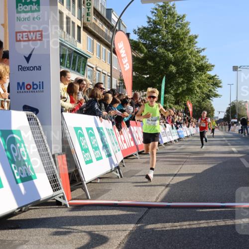 15.09.2024 - PSD Bank Halbmarathon Strokosch-Dieckow http://msf.ph/oto/7063212 15.09.2024 10:25:31 Ziel 7, 19, 66, 102, 165, 177 meine-sportfotos.de