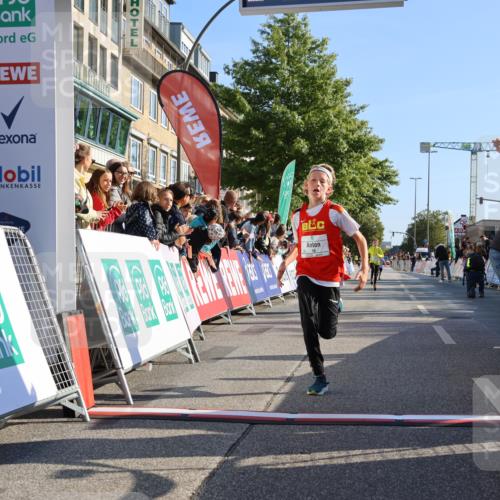15.09.2024 - PSD Bank Halbmarathon Strokosch-Dieckow http://msf.ph/oto/7063294 15.09.2024 10:25:33 Ziel 7, 19, 66, 102, 177 meine-sportfotos.de