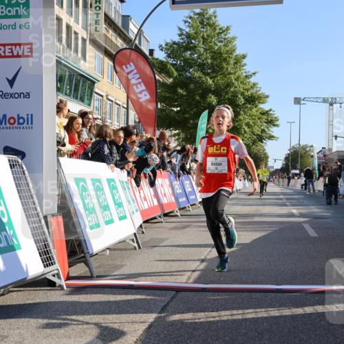 15.09.2024 - PSD Bank Halbmarathon Strokosch-Dieckow http://msf.ph/oto/7063305 15.09.2024 10:25:33 Ziel 7, 19, 66, 102, 177 meine-sportfotos.de