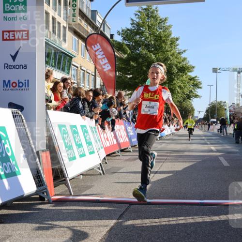 15.09.2024 - PSD Bank Halbmarathon Strokosch-Dieckow http://msf.ph/oto/7063322 15.09.2024 10:25:33 Ziel 7, 19, 66, 102, 177 meine-sportfotos.de