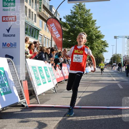 15.09.2024 - PSD Bank Halbmarathon Strokosch-Dieckow http://msf.ph/oto/7063332 15.09.2024 10:25:33 Ziel 7, 19, 66, 102, 177 meine-sportfotos.de