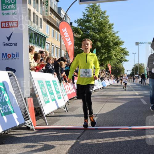 15.09.2024 - PSD Bank Halbmarathon Strokosch-Dieckow http://msf.ph/oto/7063554 15.09.2024 10:25:38 Ziel 7, 19, 66, 110, 257 meine-sportfotos.de