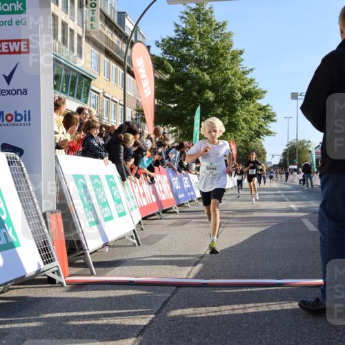 15.09.2024 - PSD Bank Halbmarathon Strokosch-Dieckow http://msf.ph/oto/7063579 15.09.2024 10:25:42 Ziel 7, 19, 36, 66, 110, 221, 238, 257 meine-sportfotos.de
