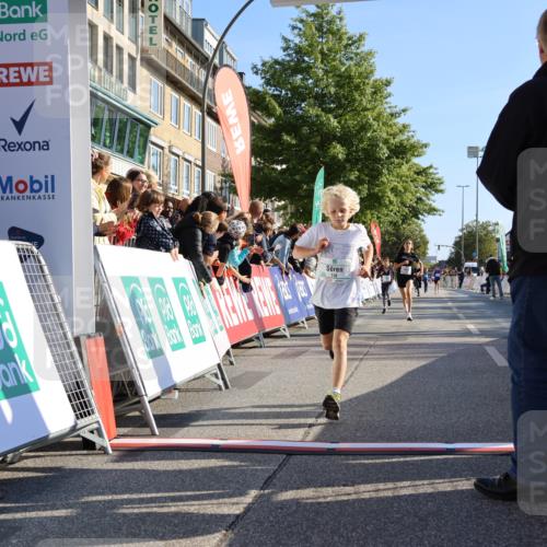 15.09.2024 - PSD Bank Halbmarathon Strokosch-Dieckow http://msf.ph/oto/7063591 15.09.2024 10:25:42 Ziel 7, 19, 36, 66, 110, 221, 238, 257 meine-sportfotos.de