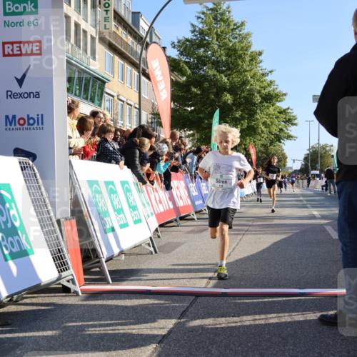 15.09.2024 - PSD Bank Halbmarathon Strokosch-Dieckow http://msf.ph/oto/7063604 15.09.2024 10:25:42 Ziel 7, 19, 36, 66, 110, 221, 238, 257 meine-sportfotos.de