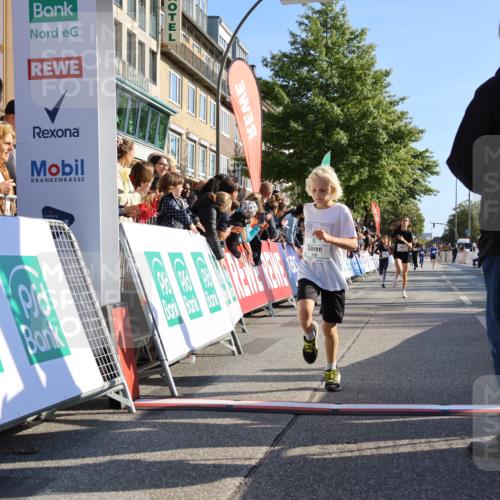 15.09.2024 - PSD Bank Halbmarathon Strokosch-Dieckow http://msf.ph/oto/7063626 15.09.2024 10:25:42 Ziel 7, 19, 36, 66, 110, 221, 238, 257 meine-sportfotos.de