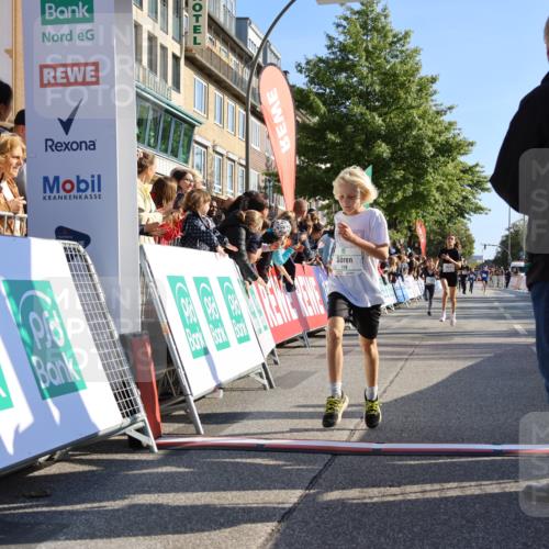 15.09.2024 - PSD Bank Halbmarathon Strokosch-Dieckow http://msf.ph/oto/7063637 15.09.2024 10:25:42 Ziel 7, 19, 36, 66, 110, 221, 238, 257 meine-sportfotos.de