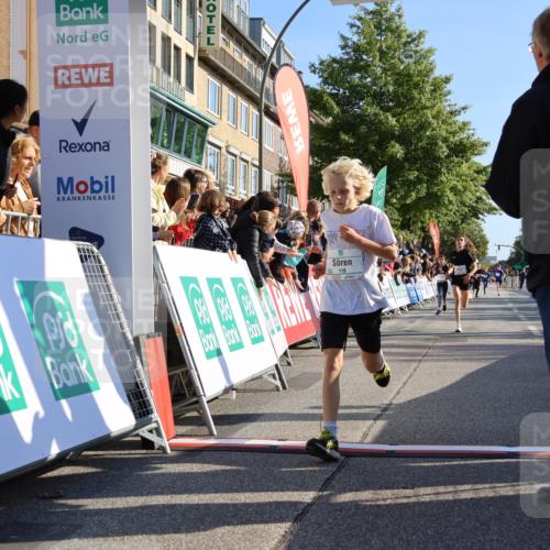15.09.2024 - PSD Bank Halbmarathon Strokosch-Dieckow http://msf.ph/oto/7063664 15.09.2024 10:25:42 Ziel 7, 19, 36, 66, 110, 221, 238, 257 meine-sportfotos.de