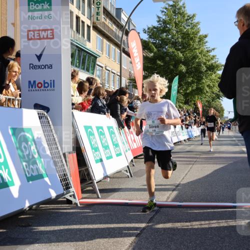 15.09.2024 - PSD Bank Halbmarathon Strokosch-Dieckow http://msf.ph/oto/7063674 15.09.2024 10:25:42 Ziel 7, 19, 36, 66, 110, 221, 238, 257 meine-sportfotos.de