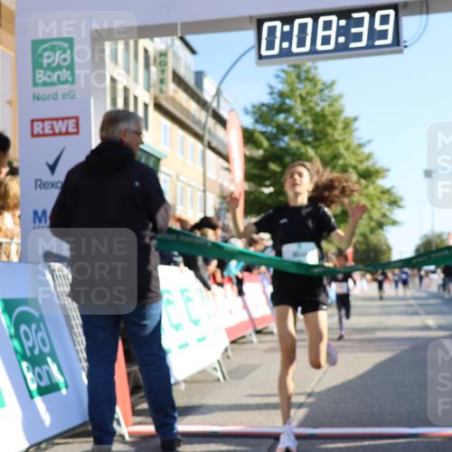 15.09.2024 - PSD Bank Halbmarathon Strokosch-Dieckow http://msf.ph/oto/7063735 15.09.2024 10:25:45 Ziel 36, 66, 110, 221, 238, 257 meine-sportfotos.de