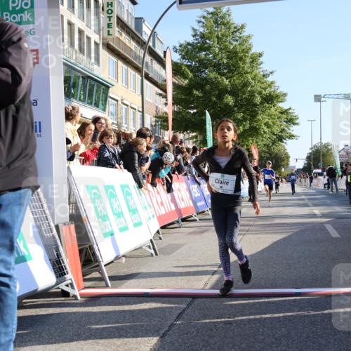 15.09.2024 - PSD Bank Halbmarathon Strokosch-Dieckow http://msf.ph/oto/7063900 15.09.2024 10:25:48 Ziel 36, 66, 110, 221, 238, 257, 300 meine-sportfotos.de