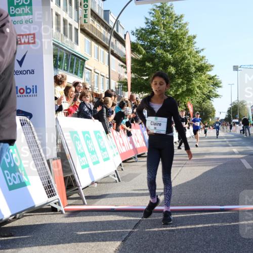 15.09.2024 - PSD Bank Halbmarathon Strokosch-Dieckow http://msf.ph/oto/7063977 15.09.2024 10:25:48 Ziel 36, 66, 110, 221, 238, 257, 300 meine-sportfotos.de