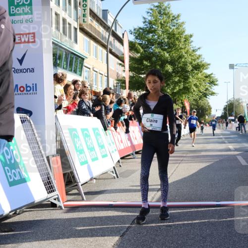 15.09.2024 - PSD Bank Halbmarathon Strokosch-Dieckow http://msf.ph/oto/7063988 15.09.2024 10:25:48 Ziel 36, 66, 110, 221, 238, 257, 300 meine-sportfotos.de