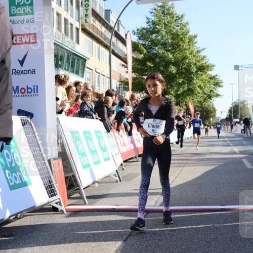 15.09.2024 - PSD Bank Halbmarathon Strokosch-Dieckow http://msf.ph/oto/7064002 15.09.2024 10:25:48 Ziel 36, 66, 110, 221, 238, 257, 300 meine-sportfotos.de