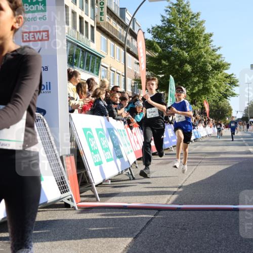 15.09.2024 - PSD Bank Halbmarathon Strokosch-Dieckow http://msf.ph/oto/7064020 15.09.2024 10:25:50 Ziel 36, 110, 221, 238, 248, 257, 298, 300 meine-sportfotos.de