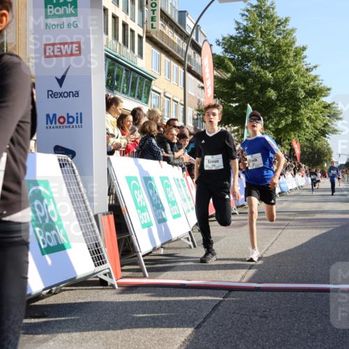 15.09.2024 - PSD Bank Halbmarathon Strokosch-Dieckow http://msf.ph/oto/7064039 15.09.2024 10:25:50 Ziel 36, 110, 221, 238, 248, 257, 298, 300 meine-sportfotos.de