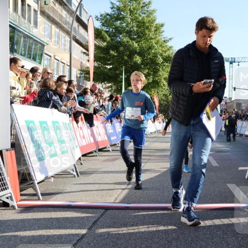 15.09.2024 - PSD Bank Halbmarathon Strokosch-Dieckow http://msf.ph/oto/7064270 15.09.2024 10:25:56 Ziel 36, 54, 221, 238, 248, 257, 298, 300 meine-sportfotos.de