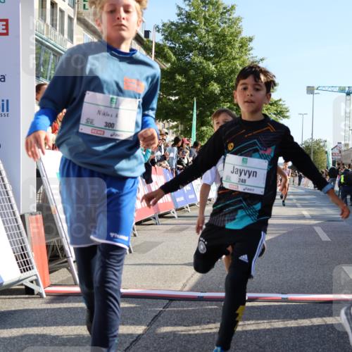 15.09.2024 - PSD Bank Halbmarathon Strokosch-Dieckow http://msf.ph/oto/7064345 15.09.2024 10:25:58 Ziel 36, 54, 221, 238, 248, 298, 300 meine-sportfotos.de
