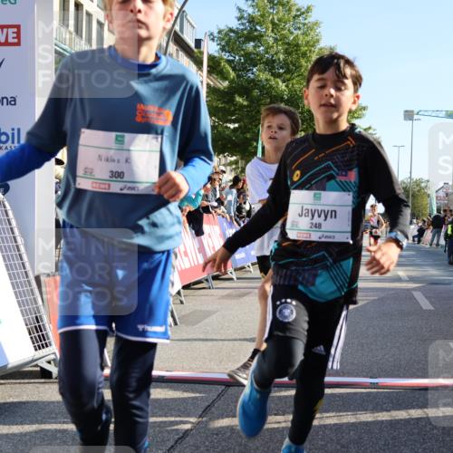 15.09.2024 - PSD Bank Halbmarathon Strokosch-Dieckow http://msf.ph/oto/7064367 15.09.2024 10:25:58 Ziel 36, 54, 221, 238, 248, 298, 300 meine-sportfotos.de