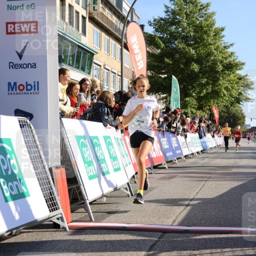 15.09.2024 - PSD Bank Halbmarathon Strokosch-Dieckow http://msf.ph/oto/7064562 15.09.2024 10:26:09 Ziel 20, 54, 98, 240, 248, 298 meine-sportfotos.de