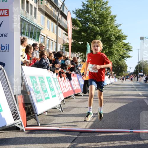 15.09.2024 - PSD Bank Halbmarathon Strokosch-Dieckow http://msf.ph/oto/7064667 15.09.2024 10:26:14 Ziel 20, 98, 240 meine-sportfotos.de