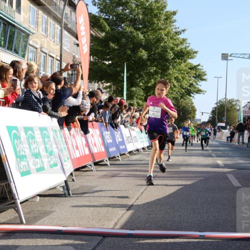 15.09.2024 - PSD Bank Halbmarathon Strokosch-Dieckow http://msf.ph/oto/7064845 15.09.2024 10:26:24 Ziel 9, 20, 88, 144, 181, 216, 240, 242, 295 meine-sportfotos.de
