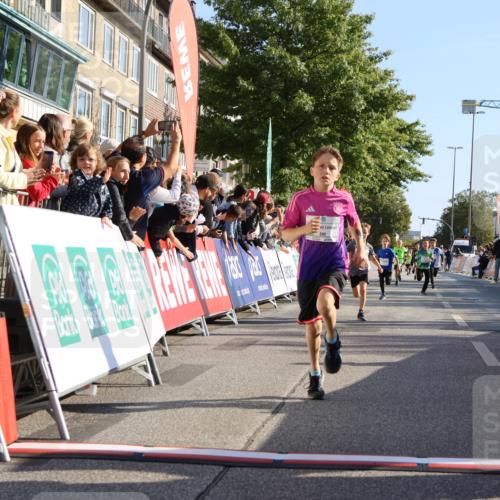 15.09.2024 - PSD Bank Halbmarathon Strokosch-Dieckow http://msf.ph/oto/7064894 15.09.2024 10:26:24 Ziel 9, 20, 88, 144, 181, 216, 240, 242, 295 meine-sportfotos.de