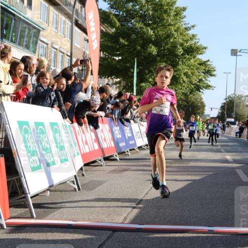 15.09.2024 - PSD Bank Halbmarathon Strokosch-Dieckow http://msf.ph/oto/7064909 15.09.2024 10:26:24 Ziel 9, 20, 88, 144, 181, 216, 240, 242, 295 meine-sportfotos.de