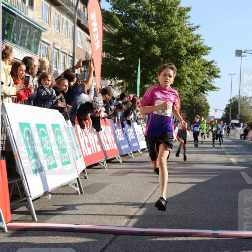 15.09.2024 - PSD Bank Halbmarathon Strokosch-Dieckow http://msf.ph/oto/7064923 15.09.2024 10:26:24 Ziel 9, 20, 88, 144, 181, 216, 240, 242, 295 meine-sportfotos.de