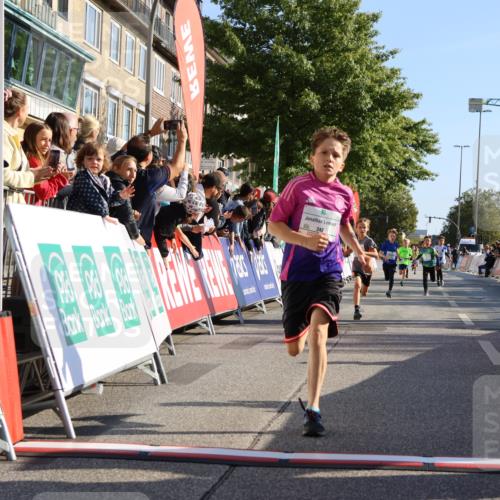 15.09.2024 - PSD Bank Halbmarathon Strokosch-Dieckow http://msf.ph/oto/7064935 15.09.2024 10:26:24 Ziel 9, 20, 88, 144, 181, 216, 240, 242, 295 meine-sportfotos.de