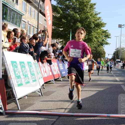 15.09.2024 - PSD Bank Halbmarathon Strokosch-Dieckow http://msf.ph/oto/7064960 15.09.2024 10:26:24 Ziel 9, 20, 88, 144, 181, 216, 240, 242, 295 meine-sportfotos.de