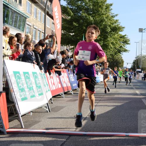 15.09.2024 - PSD Bank Halbmarathon Strokosch-Dieckow http://msf.ph/oto/7064972 15.09.2024 10:26:24 Ziel 9, 20, 88, 144, 181, 216, 240, 242, 295 meine-sportfotos.de