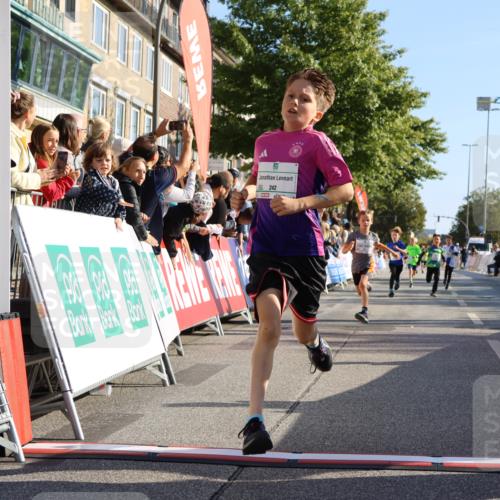 15.09.2024 - PSD Bank Halbmarathon Strokosch-Dieckow http://msf.ph/oto/7064985 15.09.2024 10:26:24 Ziel 9, 20, 88, 144, 181, 216, 240, 242, 295 meine-sportfotos.de