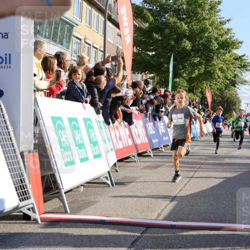 15.09.2024 - PSD Bank Halbmarathon Strokosch-Dieckow http://msf.ph/oto/7065009 15.09.2024 10:26:25 Ziel 9, 20, 88, 144, 181, 216, 240, 242, 295 meine-sportfotos.de