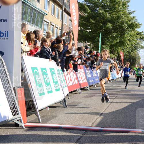 15.09.2024 - PSD Bank Halbmarathon Strokosch-Dieckow http://msf.ph/oto/7065023 15.09.2024 10:26:26 Ziel 9, 86, 88, 144, 181, 216, 240, 242, 295 meine-sportfotos.de
