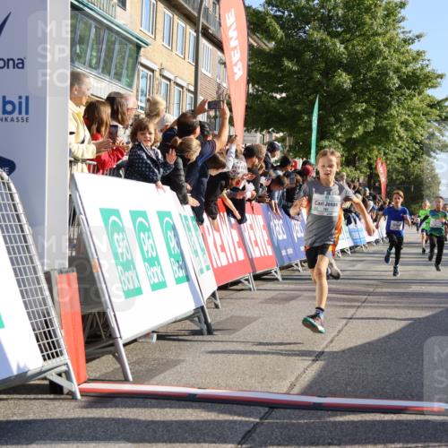 15.09.2024 - PSD Bank Halbmarathon Strokosch-Dieckow http://msf.ph/oto/7065035 15.09.2024 10:26:26 Ziel 9, 86, 88, 144, 181, 216, 240, 242, 295 meine-sportfotos.de