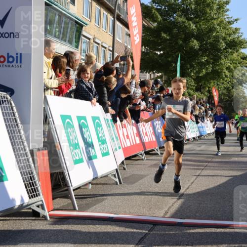 15.09.2024 - PSD Bank Halbmarathon Strokosch-Dieckow http://msf.ph/oto/7065078 15.09.2024 10:26:26 Ziel 9, 86, 88, 144, 181, 216, 240, 242, 295 meine-sportfotos.de