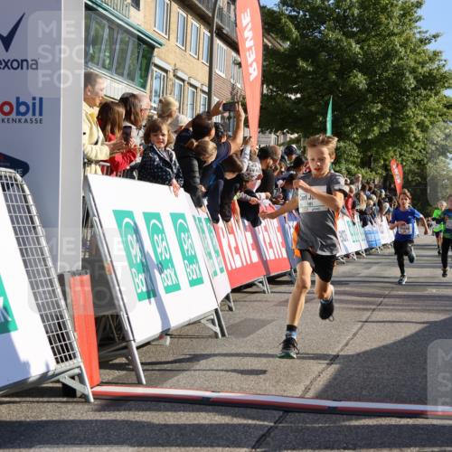 15.09.2024 - PSD Bank Halbmarathon Strokosch-Dieckow http://msf.ph/oto/7065094 15.09.2024 10:26:26 Ziel 9, 86, 88, 144, 181, 216, 240, 242, 295 meine-sportfotos.de