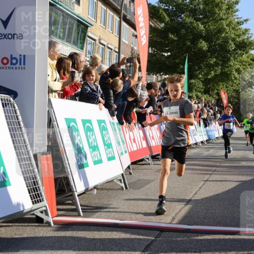 15.09.2024 - PSD Bank Halbmarathon Strokosch-Dieckow http://msf.ph/oto/7065107 15.09.2024 10:26:26 Ziel 9, 86, 88, 144, 181, 216, 240, 242, 295 meine-sportfotos.de
