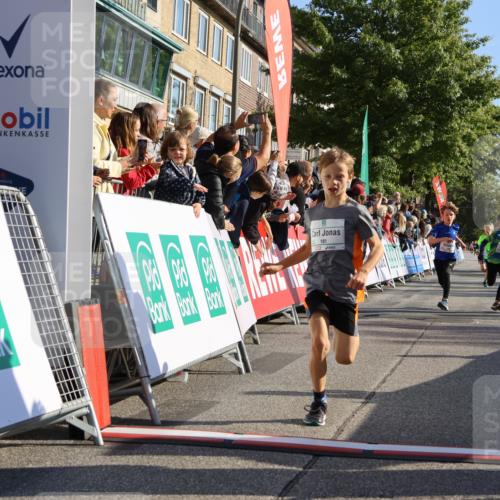15.09.2024 - PSD Bank Halbmarathon Strokosch-Dieckow http://msf.ph/oto/7065120 15.09.2024 10:26:26 Ziel 9, 86, 88, 144, 181, 216, 240, 242, 295 meine-sportfotos.de