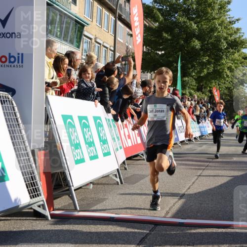 15.09.2024 - PSD Bank Halbmarathon Strokosch-Dieckow http://msf.ph/oto/7065141 15.09.2024 10:26:26 Ziel 9, 86, 88, 144, 181, 216, 240, 242, 295 meine-sportfotos.de
