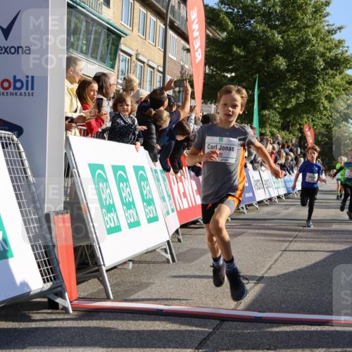 15.09.2024 - PSD Bank Halbmarathon Strokosch-Dieckow http://msf.ph/oto/7065156 15.09.2024 10:26:26 Ziel 9, 86, 88, 144, 181, 216, 240, 242, 295 meine-sportfotos.de