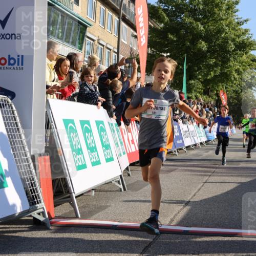 15.09.2024 - PSD Bank Halbmarathon Strokosch-Dieckow http://msf.ph/oto/7065169 15.09.2024 10:26:26 Ziel 9, 86, 88, 144, 181, 216, 240, 242, 295 meine-sportfotos.de