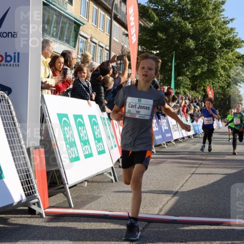 15.09.2024 - PSD Bank Halbmarathon Strokosch-Dieckow http://msf.ph/oto/7065187 15.09.2024 10:26:26 Ziel 9, 86, 88, 144, 181, 216, 240, 242, 295 meine-sportfotos.de