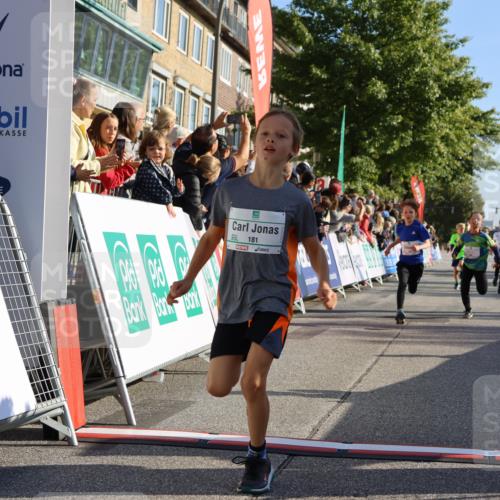 15.09.2024 - PSD Bank Halbmarathon Strokosch-Dieckow http://msf.ph/oto/7065205 15.09.2024 10:26:26 Ziel 9, 86, 88, 144, 181, 216, 240, 242, 295 meine-sportfotos.de