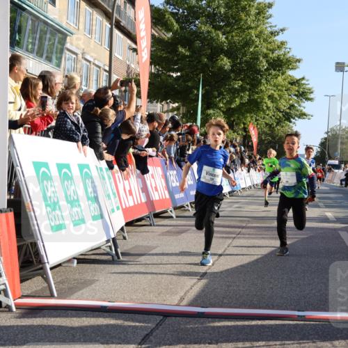 15.09.2024 - PSD Bank Halbmarathon Strokosch-Dieckow http://msf.ph/oto/7065221 15.09.2024 10:26:27 Ziel 9, 86, 88, 116, 144, 181, 200, 216, 242, 295 meine-sportfotos.de